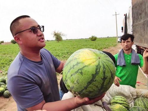 52爆料吃瓜网.911爆料精彩瞬间,911事件惊心动魄瞬间大曝光